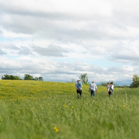 A family walking through a field.