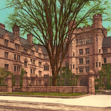 Yale, 1901