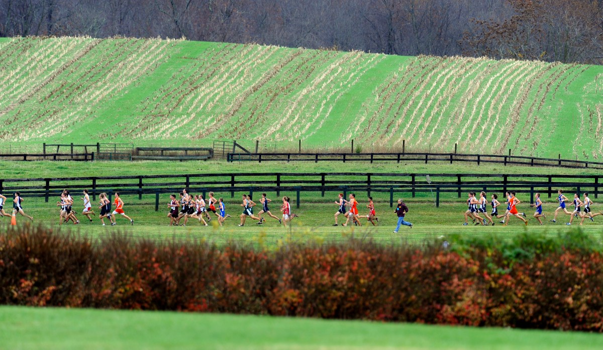 A group of young runners racing through a field.