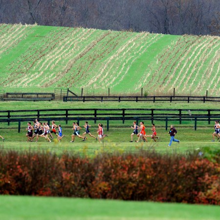 A group of young runners racing through a field.