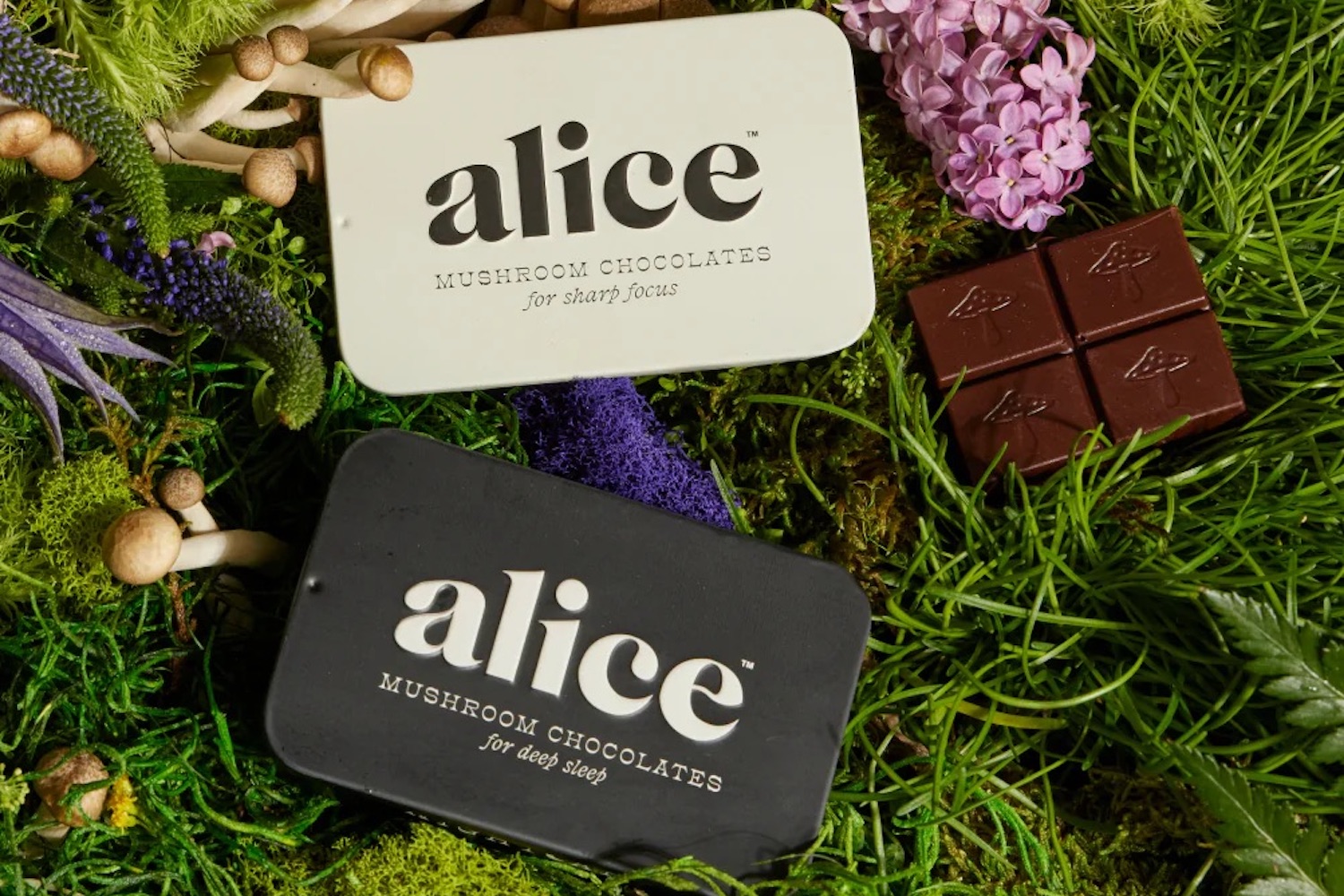 a white and a black tin of Alice Mushroom Chocolates on a grassy background