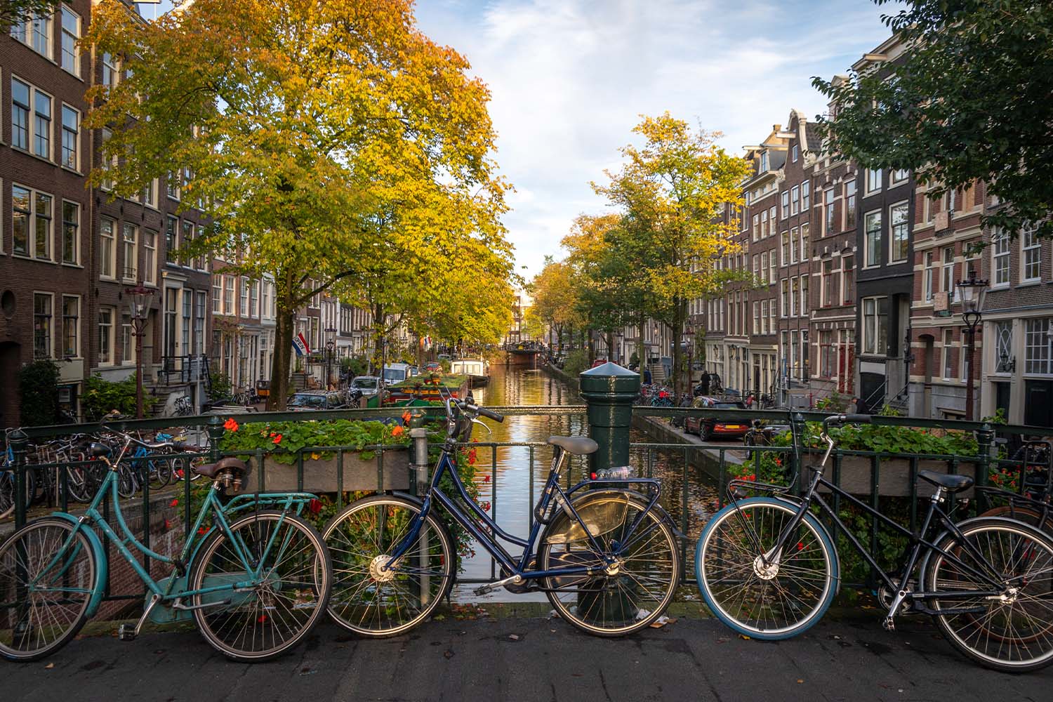 Bicycles on a bridge in Amsterdam