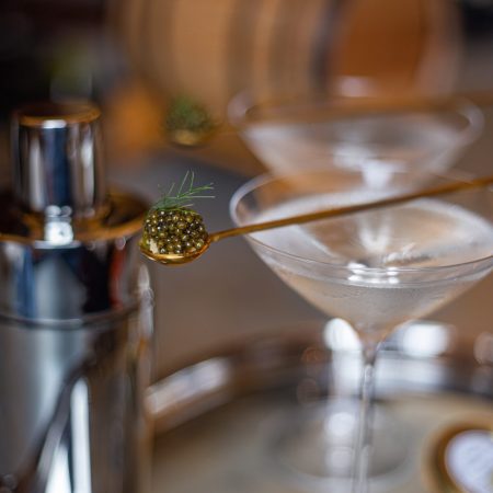 A picture of a martini glass with a spoon of caviar resting on top with a cocktail shaker next to it.