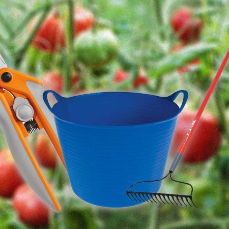 The best gardening tools for beginners on a tomato background