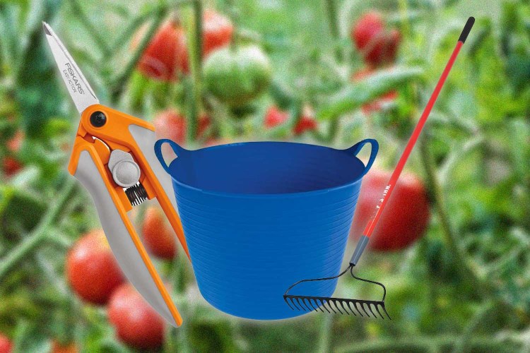 The best gardening tools for beginners on a tomato background