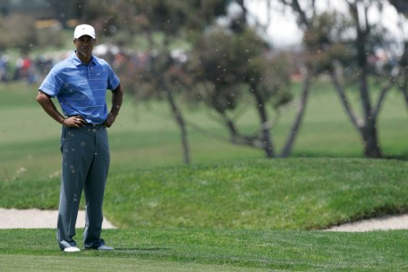 Tiger Woods watches as a swarm of bees passes by on the 14th hole during the first round of the US Open Championship at Torrey Pines South Golf Course in San Diego, CA, June 12, 2008.