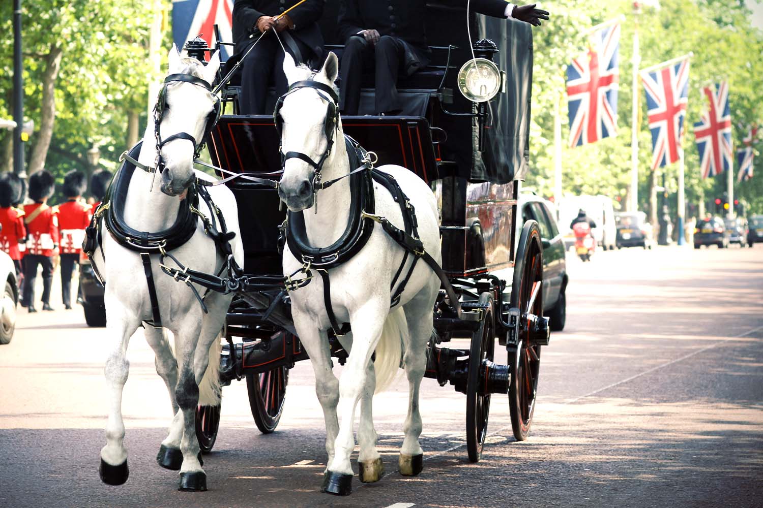 Unclear if "Horse and Carriage XL" will be an option