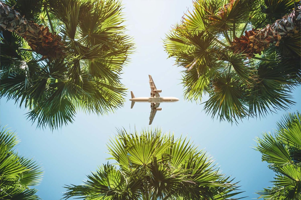 A plane flying over palm trees
