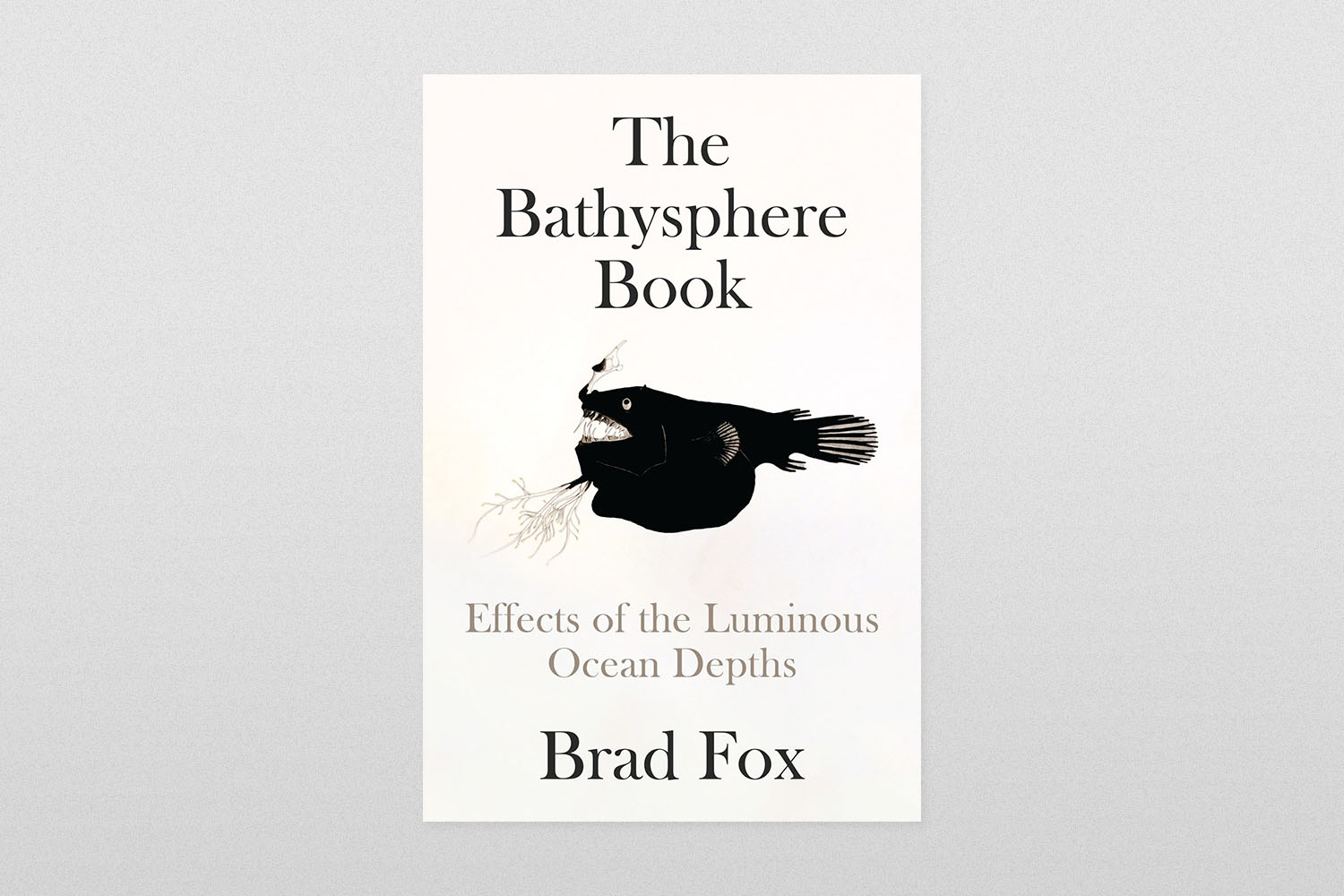 The Bathysphere Book- Effects of the Luminous Ocean Depths by Brad Fox