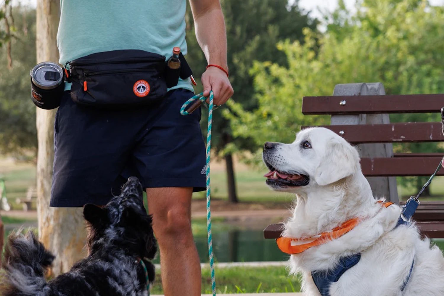 a model wearing the Tito's Walk-Pack and playing with dogs