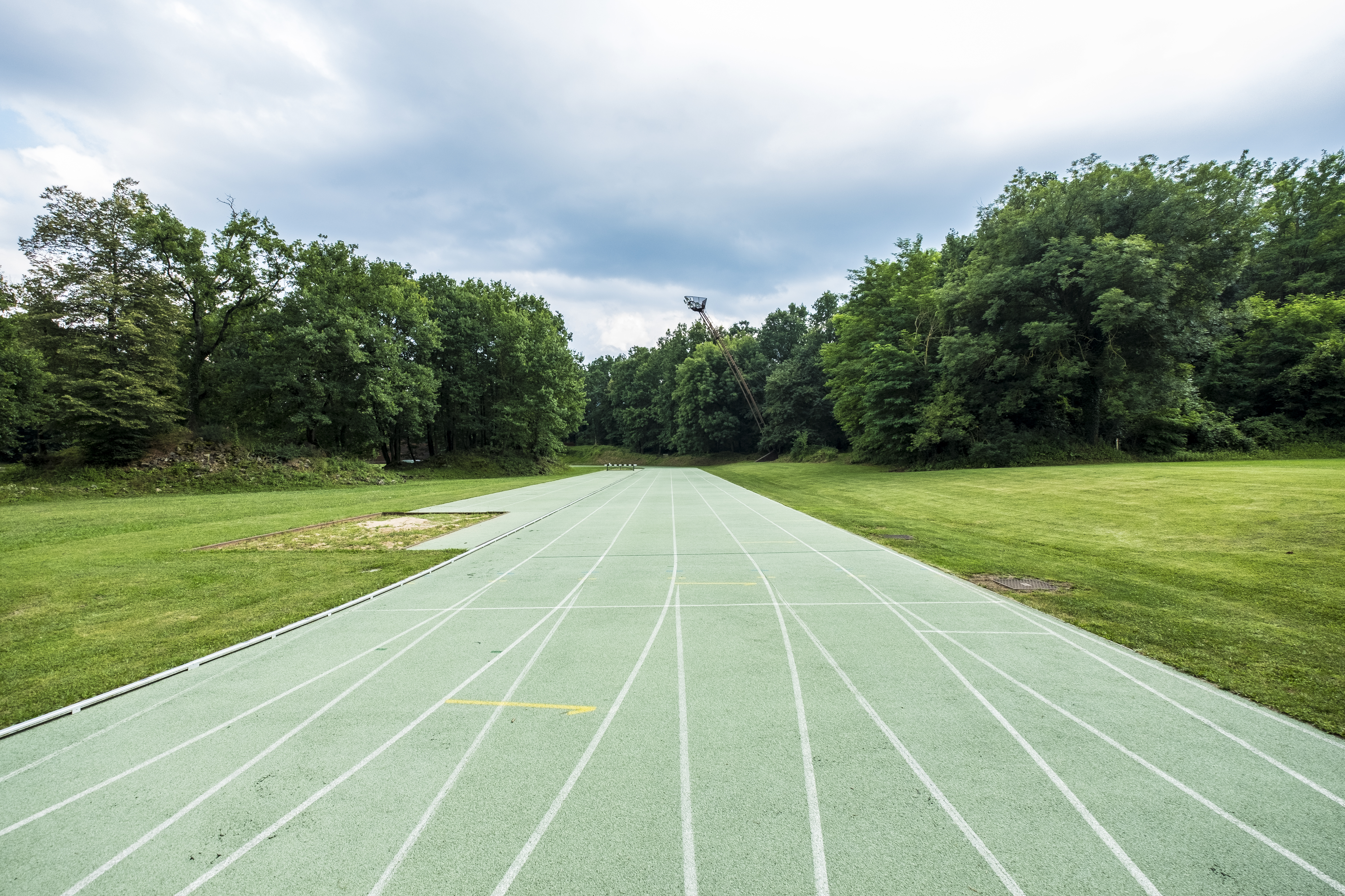 An example of green exercise: a track disappearing into the woods.