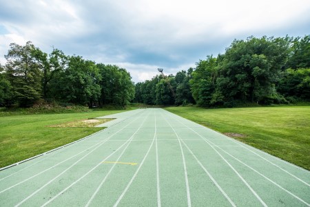 An example of green exercise: a track disappearing into the woods.