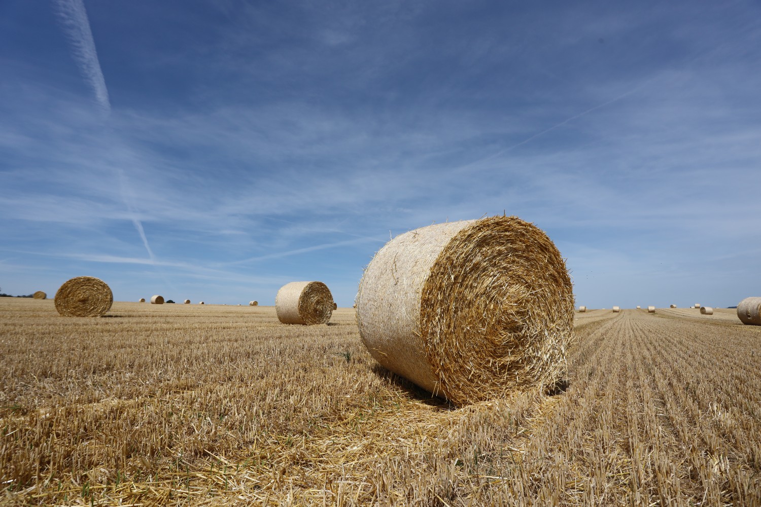 Hay bales