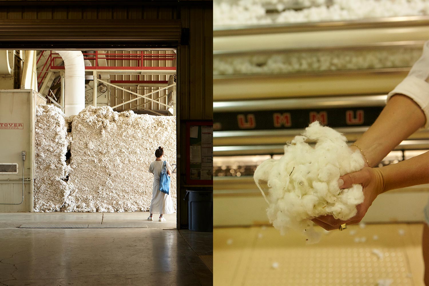 Photos from the cotton production process of the Outerknown California Series