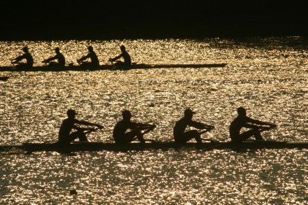 Crew teams training on a glittering lake.