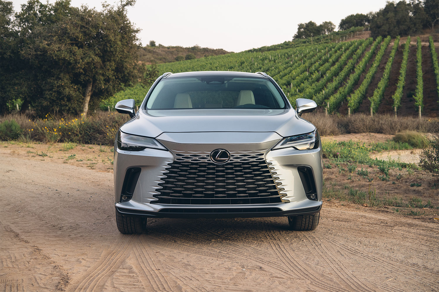 The front grille of the 2023 Lexus RX 350h hybrid SUV