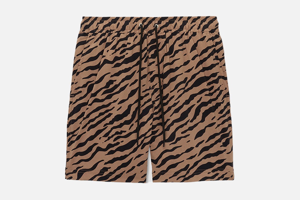 The Sensible Guy's Pick: Everlane The ReNew Swim Short