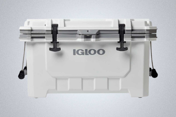 Igloo - IMX 70 Quart Cooler