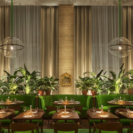 greenery and green seating area at restaurant. tampa michelin stars