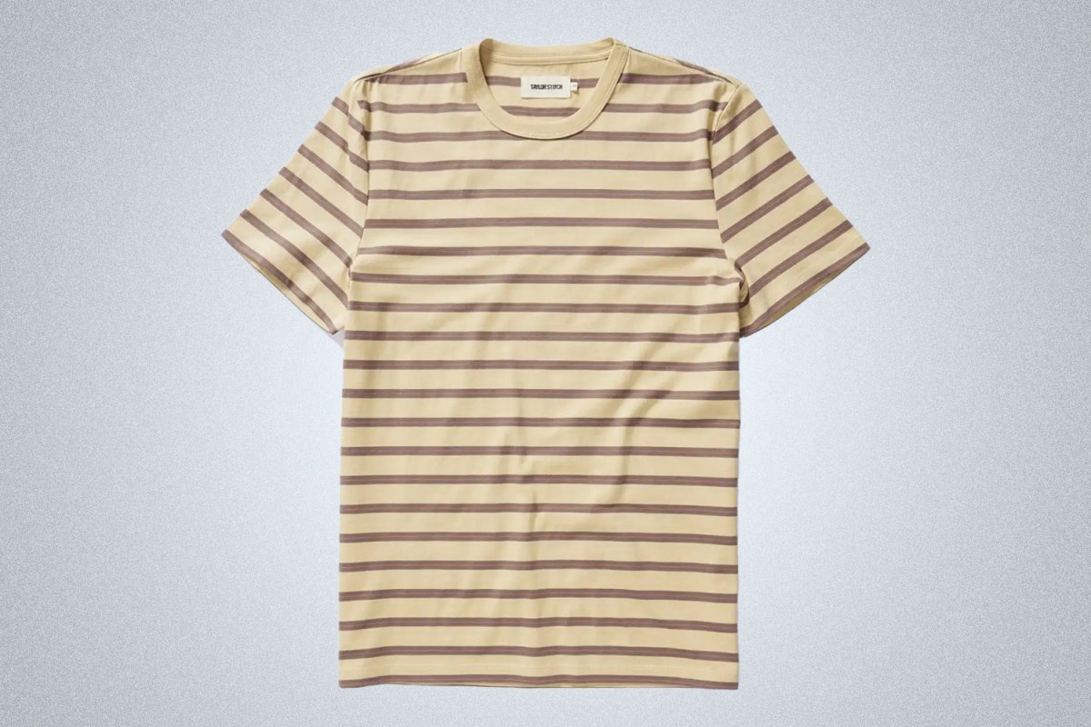 Taylor Stitch The Organic Cotton Tee