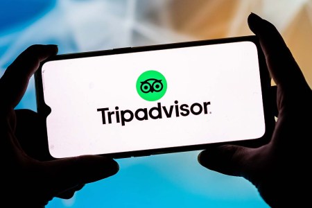 The TripAdvisor logo on a mobile device