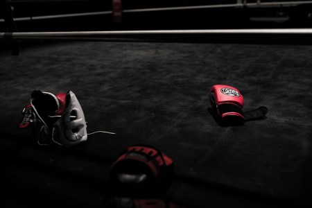 Boxing gear