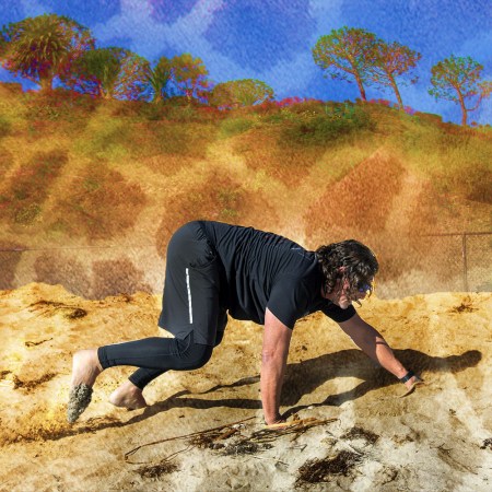 A man bear crawling along the beach, with a zoo-inspired treatment on the photo.