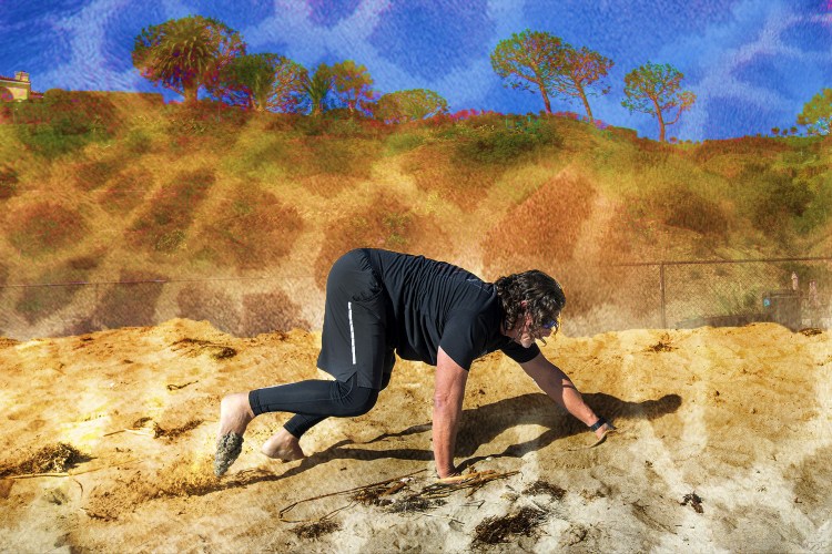 A man bear crawling along the beach, with a zoo-inspired treatment on the photo.