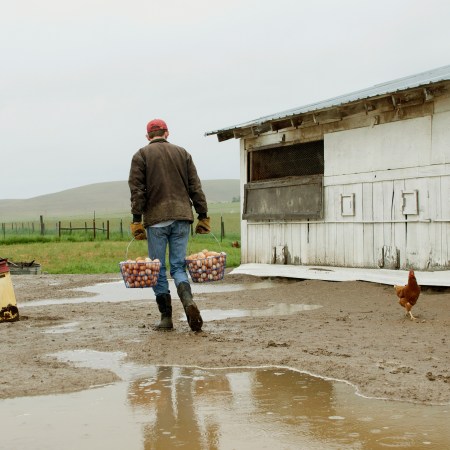 A farmer walking with two baskets of chicken eggs. This exercise move, called the farmer's carry, can be replicated in real life or the gym.