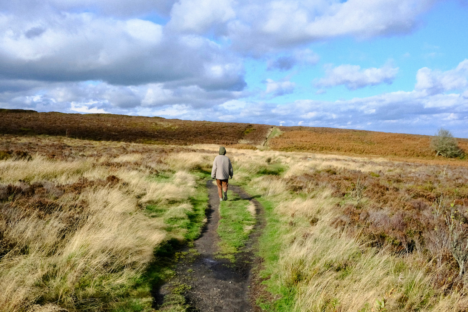 A man walking down a country lane with clouds above.