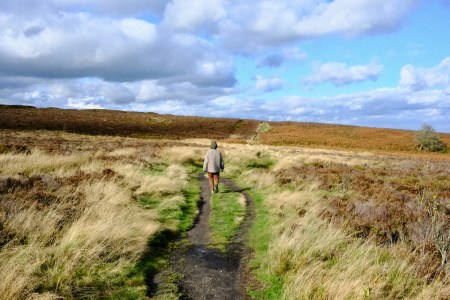 Can a “Super Walk” Erase a Week of Nonstop Sitting?