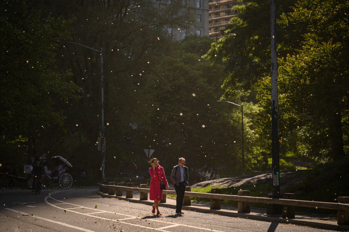 A couple walks through Central Park in summer.