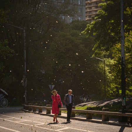 A couple walks through Central Park in summer.