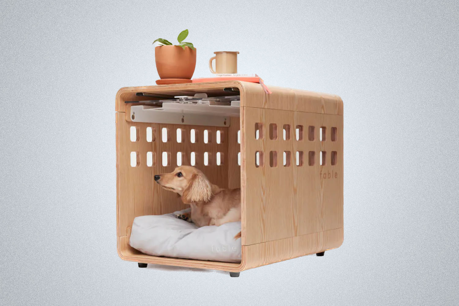Fable Pet Crate Review: Is This Luxury Pet Crate Worth It?