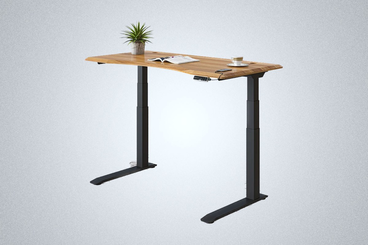 FlexiSpot Standing Desk