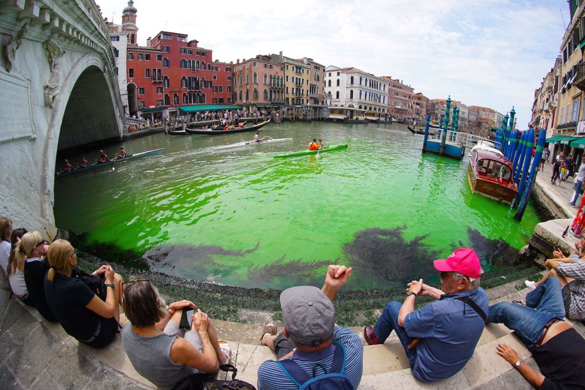 fluorescent green waters below the Rialto Bridge in Venice's Grand Canal