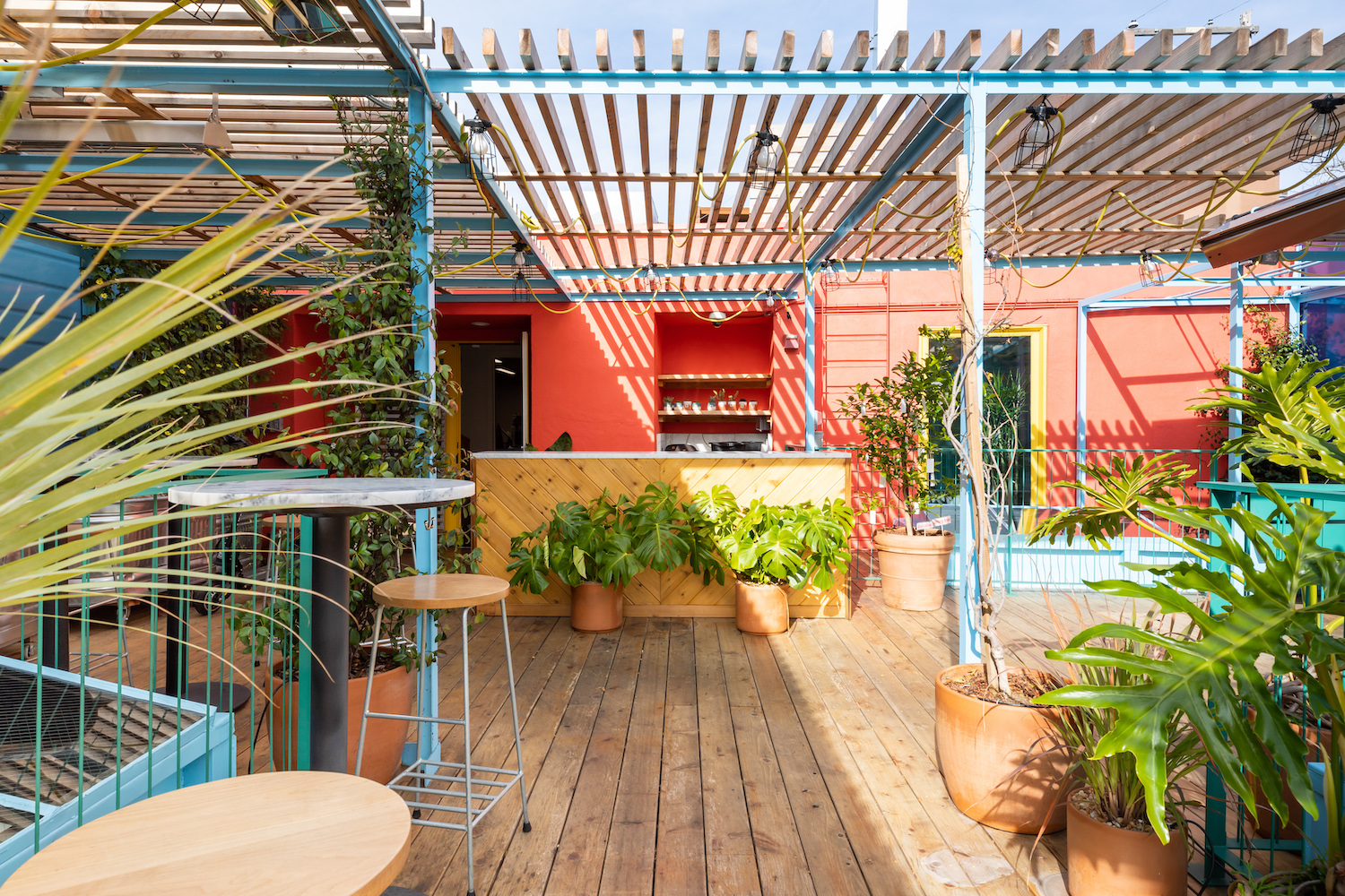 pink and blue colored rooftop bar with many plants and greenery