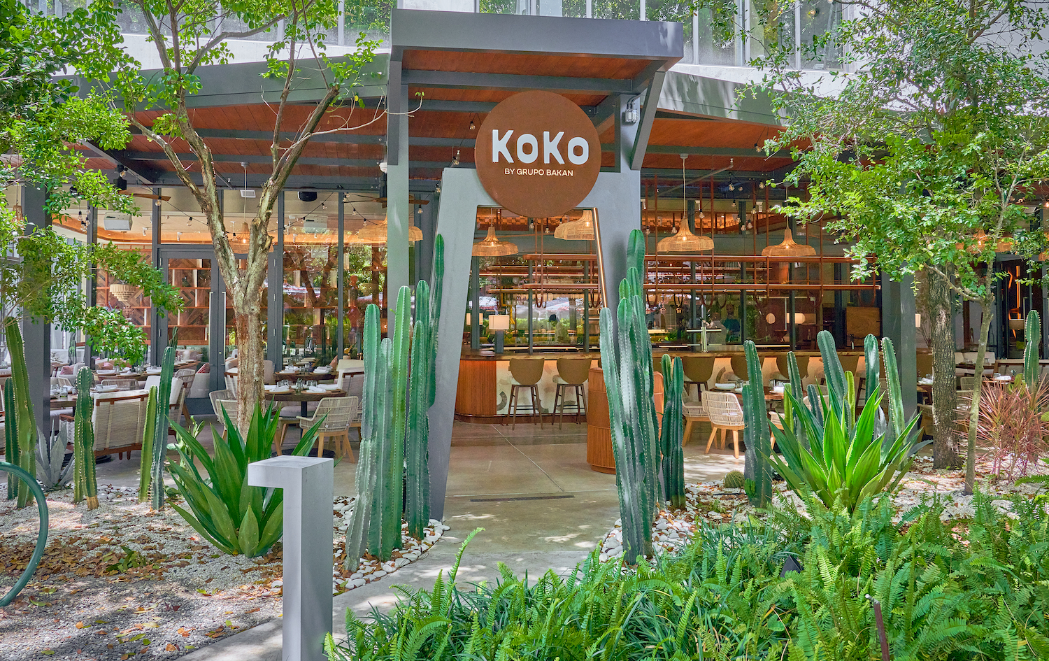 greenery outside of KoKo restaurant 