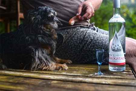 A bottle and a glass of Krogstad aquavit on a porch near a dog. Aquavit is a diverse, Nordic-inspired liquor that's great for cocktails