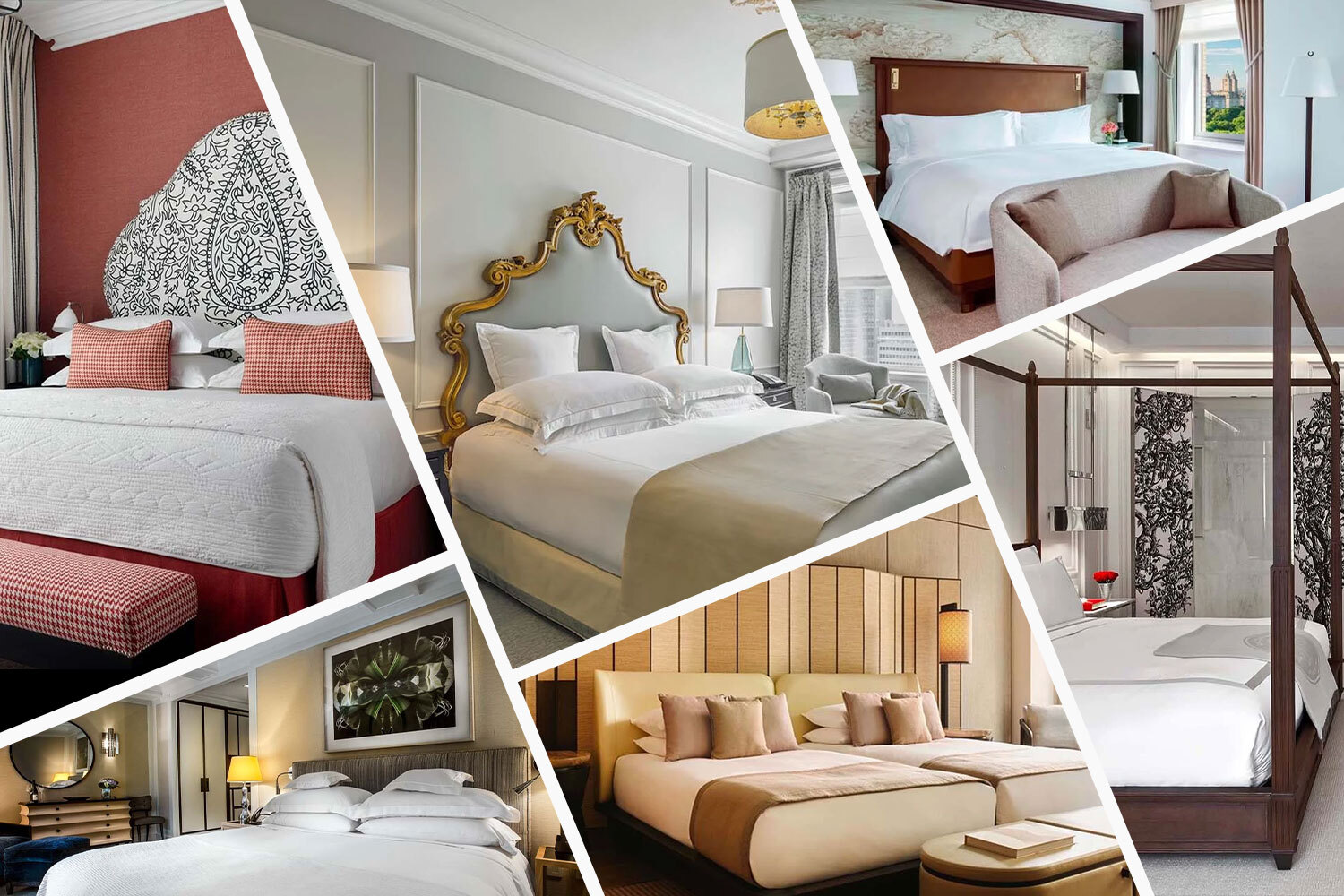 The best of the best