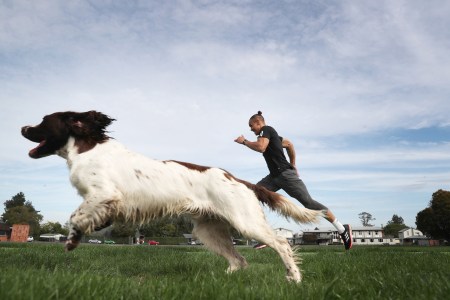 A photo of a happy dog running alongside its owner.