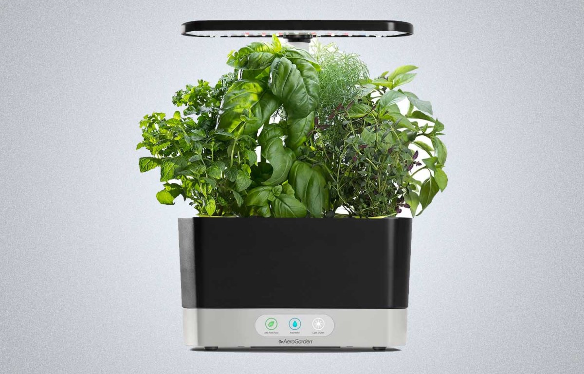 AeroGarden Harvest with Gourmet Herb Seed Pod Kit
