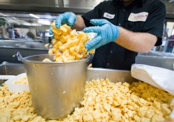 Cheese curds at Carr Valley Cheese Company factory 1, photo by Travel Wisconsin