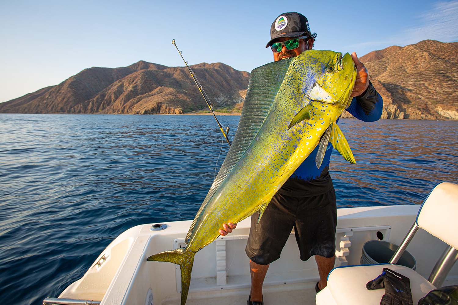 Chasing dorado in the Sea of Cortes