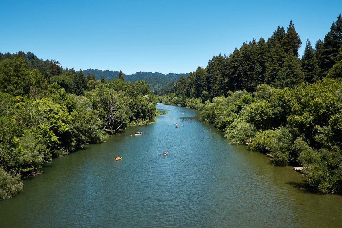Kayakers paddle up and down the Russian River on a California summer day.