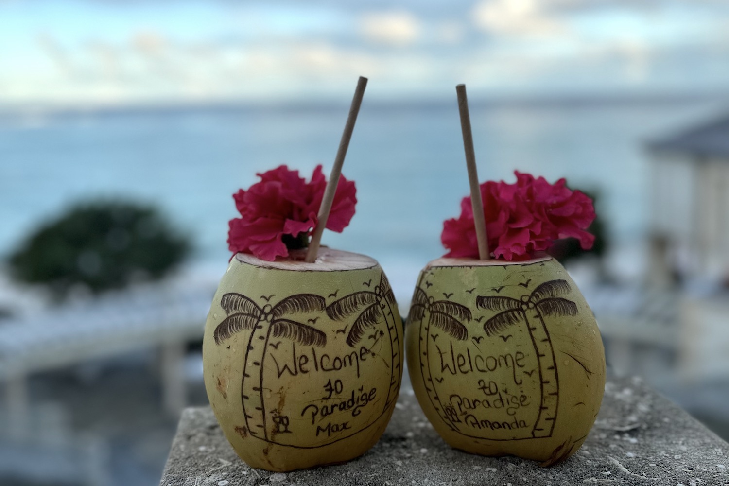 personalized welcome coconuts with pink flowers