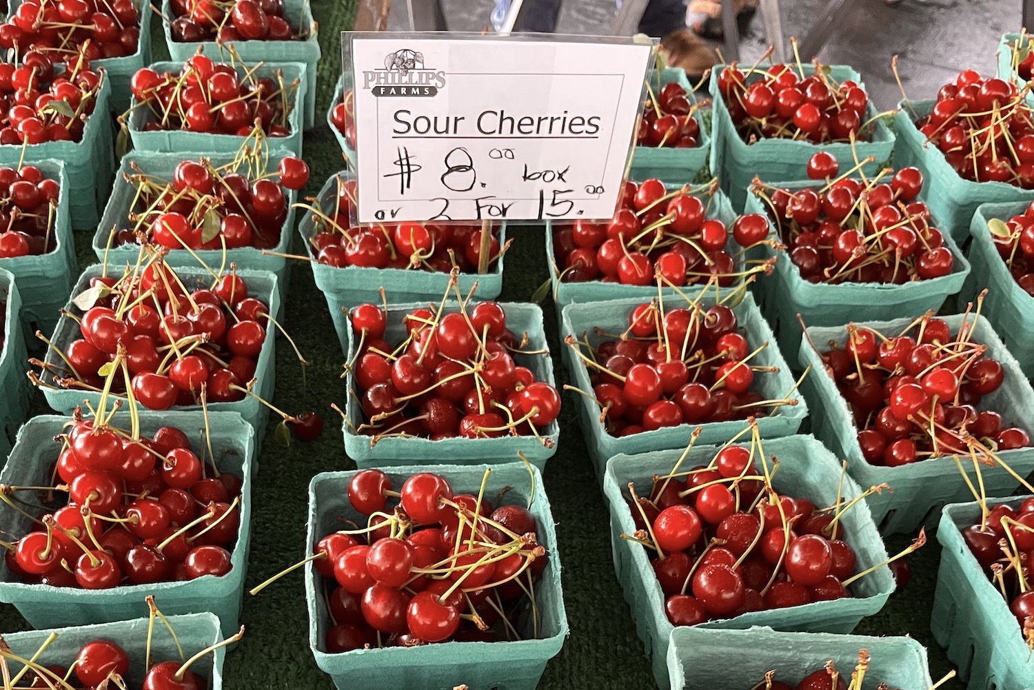 pints of fresh cherries at the farmers market