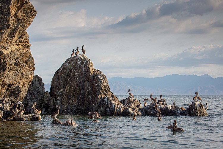 Finding Home in the Village of La Ventana InsideHook