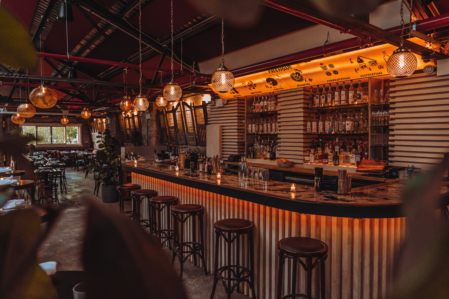 Little Oaxaca bar in nyc