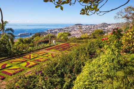 Botanical gardens in Funchal